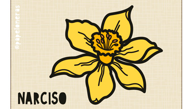 CADA FLOR A SU TIEMPO